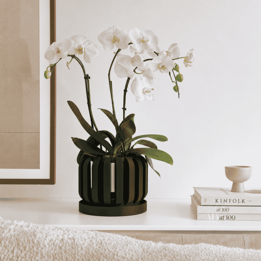 Květináč Freno Orchid