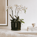 Květináč Freno Orchid