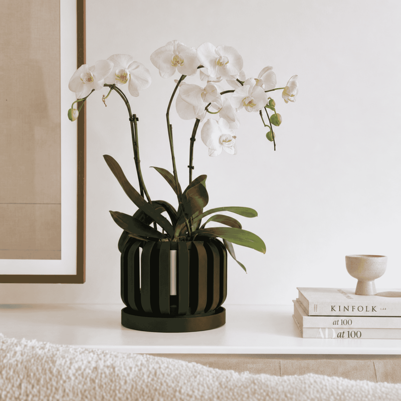 Květináč Freno Orchid