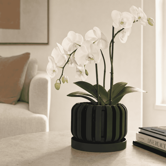 Květináč Freno Orchid